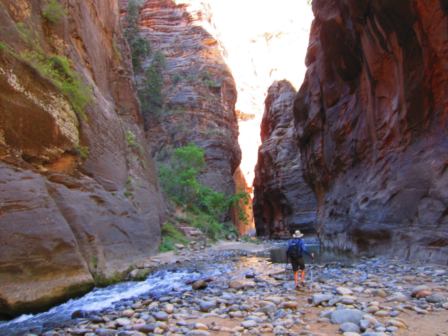 USA_Zion_A_116